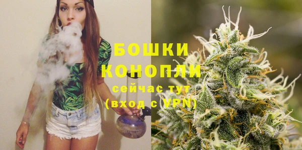 ешки Новозыбков