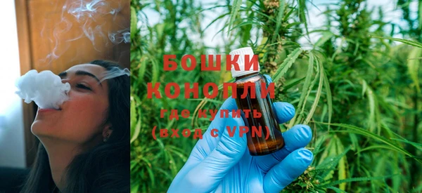ешки Новозыбков