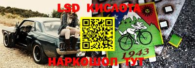 бошки Бийск