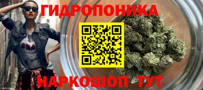 бошки Бийск