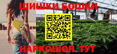 стаф Берёзовский