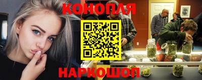 стаф Берёзовский