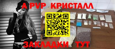 стаф Берёзовский