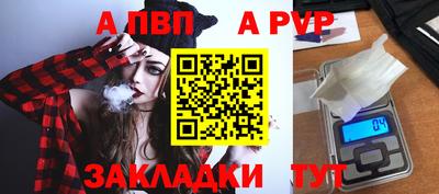 стаф Берёзовский