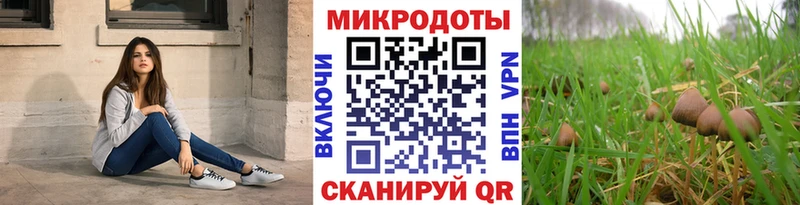сайты даркнета официальный сайт Кострома Галлюциногенные грибы Psilocybine cubensis