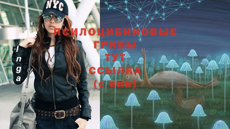 Галлюциногенные грибы Cubensis Кострома