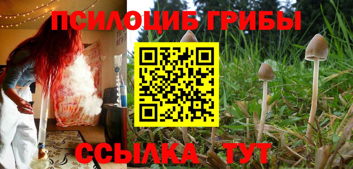 Кострома  Галлюциногенные грибы Cubensis  Вход с VPN 