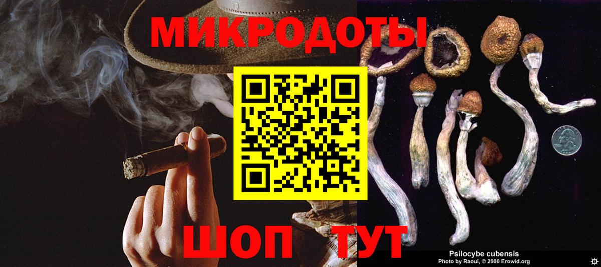 Галлюциногенные грибы Magic Shrooms  Кострома  Галлюциногенные грибы мицелий 