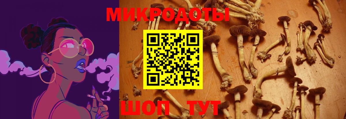 Псилоцибиновые грибы MAGIC MUSHROOMS Кострома